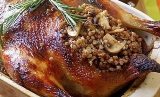 фаршированная курица гречкой и грибами
